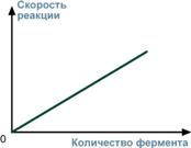 зависимость скорости реакции от фермента