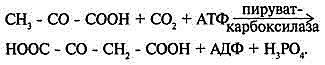 http://www.biochemistry.ru/biohimija_severina/img/b5873p292-i1.jpg