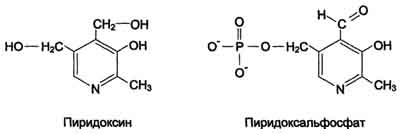 http://www.biochemistry.ru/biohimija_severina/img/b5873p469-i2.jpg