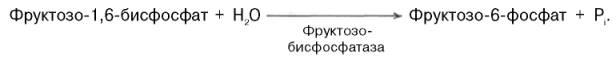 превращение фруктозо-1,6-бис-фосфата во фруктозо-6-фосфат катализируется специфической фосфатазой