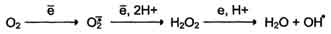 http://www.biochemistry.ru/biohimija_severina/img/b5873p428-i3.jpg