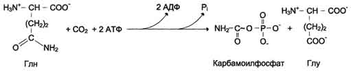 рис. 10-12. синтез карбамоилфосфата.