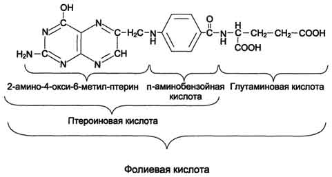 http://www.biochemistry.ru/biohimija_severina/img/b5873p496-i1.jpg