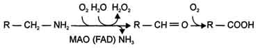 http://www.biochemistry.ru/biohimija_severina/img/b5873p520-i2.jpg