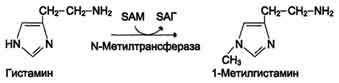 http://www.biochemistry.ru/biohimija_severina/img/b5873p520-i1.jpg