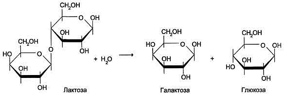 рис. 4-46. гидролиз лактозы β-галактозидазой.