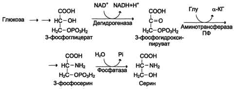 http://www.biochemistry.ru/biohimija_severina/img/b5873p493-i5.jpg