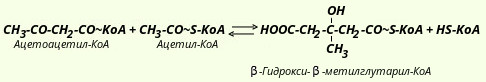 синтез кетоновых тел