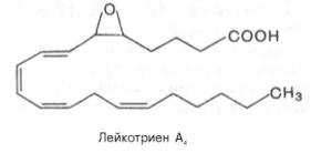 лейкотриен а