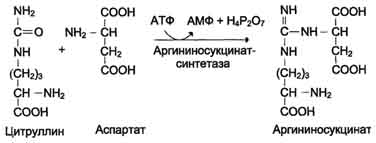 http://www.biochemistry.ru/biohimija_severina/img/b5873p483-i2.jpg