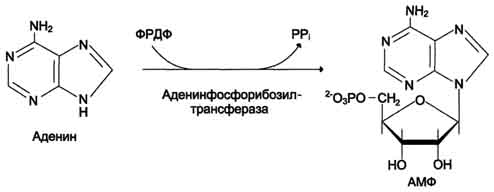 http://www.biochemistry.ru/biohimija_severina/img/b5873p528-a1.jpg