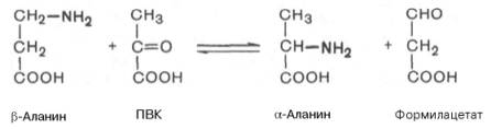 обратимая реакция синтезиза alpha-аланина и формилацетата (полуальдегид малоновой кислоты)