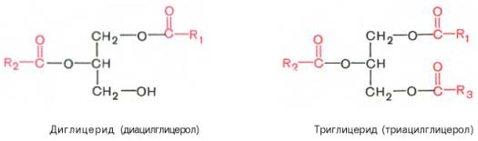 диглицерид (диацилглицерол) и триглицерид (приацилглицерол)