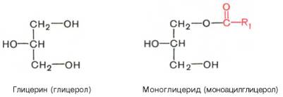 глицерин (глицерол) и моноглицерид (моноацилглицерол)