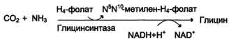 http://www.biochemistry.ru/biohimija_severina/img/b5873p493-i2.jpg