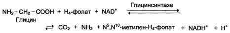 http://www.biochemistry.ru/biohimija_severina/img/b5873p494-i3.jpg