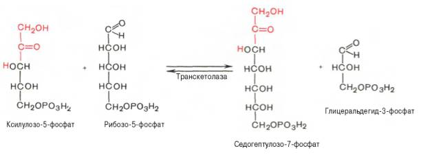 реакция изомеризации пентозо-5-фосфатов