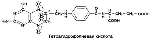 http://www.biochemistry.ru/biohimija_severina/img/b5873p496-i2.jpg