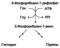 http://www.biochemistry.ru/biohimija_severina/img/b5873p493-i3.jpg