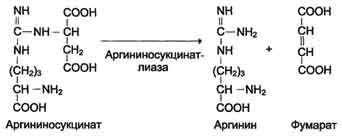 http://www.biochemistry.ru/biohimija_severina/img/b5873p483-i4.jpg