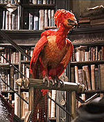 https://dic.academic.ru/pictures/wiki/files/49/150px-fawkes.jpg