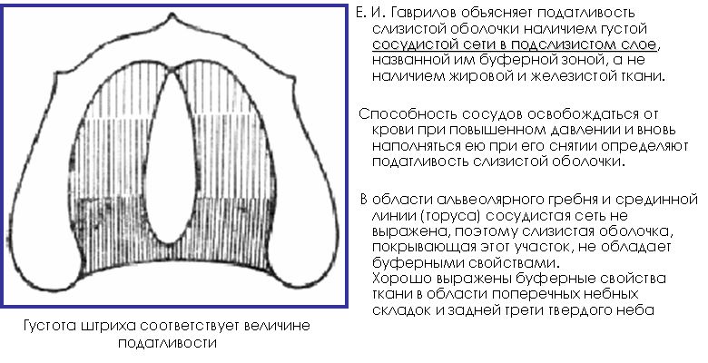 http://krasgmu.ru/sys/files/ebooks/el_ort_stom/img/img_13.jpg