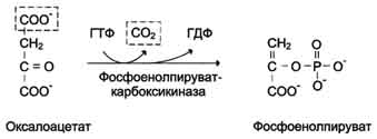 рис. 7-48. превращение оксалоацетата в фосфоенолпируват.