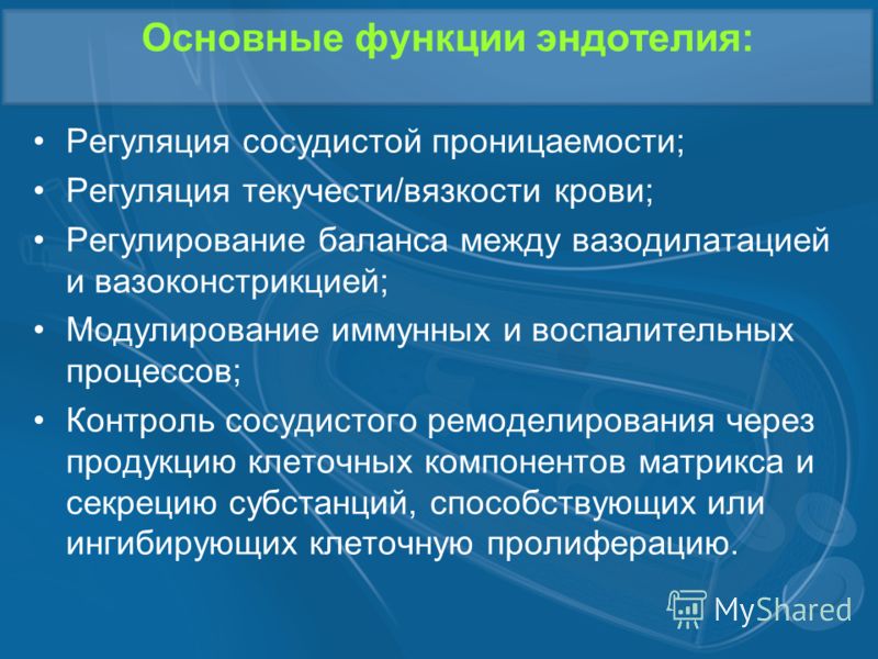 http://images.myshared.ru/4/170334/slide_10.jpg