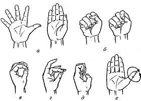 картинки по запросу упражнения для кистей рук