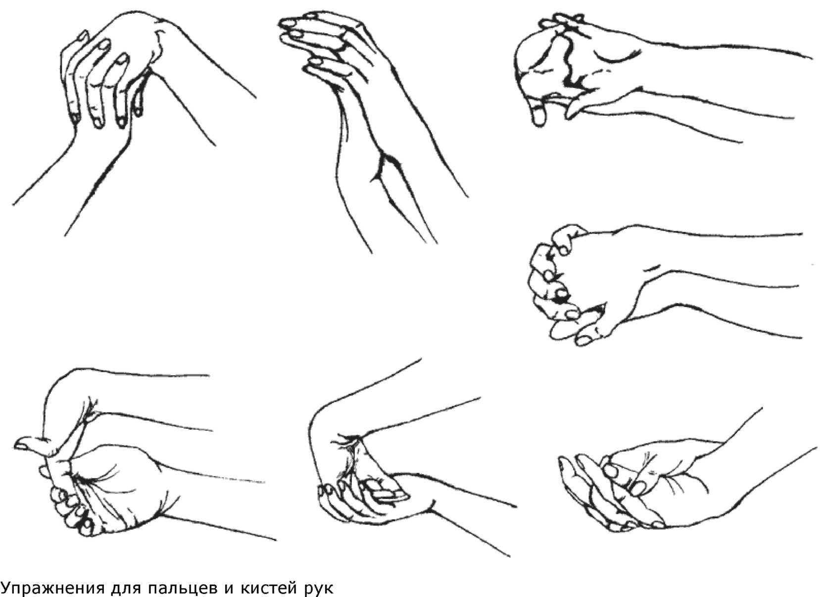 картинки по запросу упражнения для кистей рук