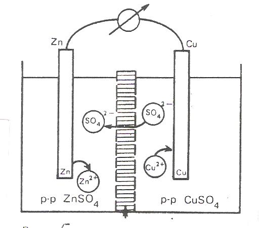 c:\users\lech513\desktop\новая папка\рисунок (11).jpg