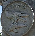 https://upload.wikimedia.org/wikipedia/commons/thumb/9/93/olbio.jpg/147px-olbio.jpg