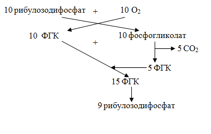 http://biofile.ru/pic/m-may-587.png