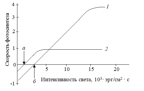 http://biofile.ru/pic/m-may-588.png