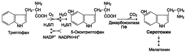 http://www.biochemistry.ru/biohimija_severina/img/b5873p513-i2.jpg