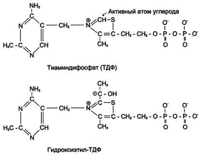 рис. 6-22. тиаминдифосфат (тдф) и гидроксиэтил-тдф. рабочей частью тдф служит тиазоповое кольцо, к которому присоединяется продукт декарбоксилирования пирувата - гидроксиэтил.