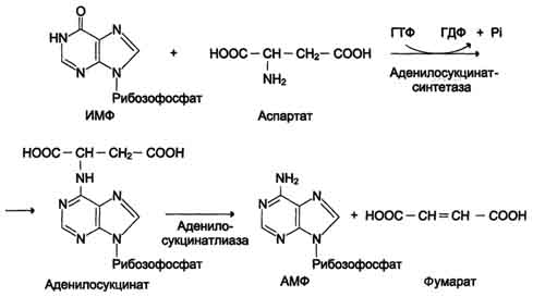 http://www.biochemistry.ru/biohimija_severina/img/b5873p476-i1.jpg