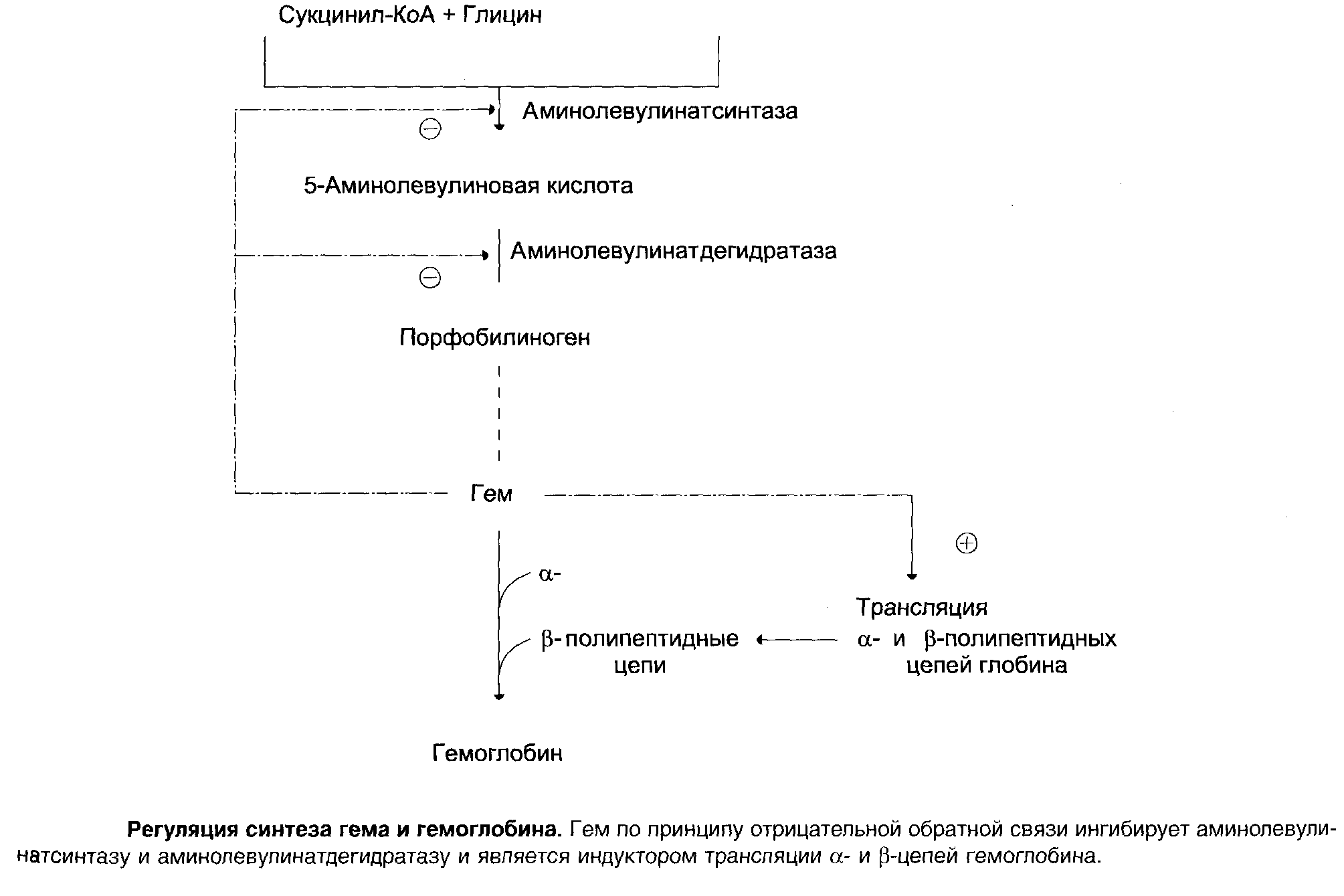 c:\documents and settings\root\рабочий стол\13-5.bmp