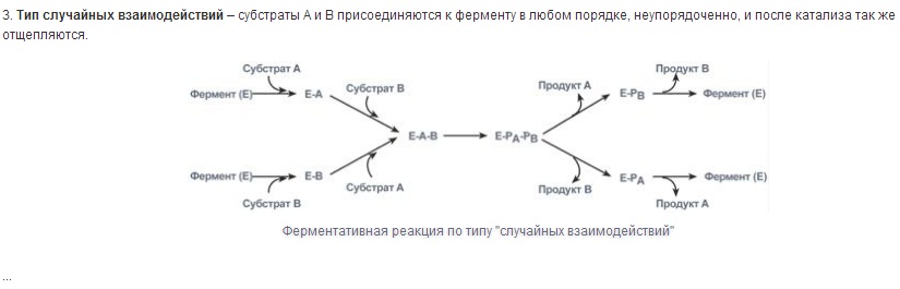 катализ2.jpg