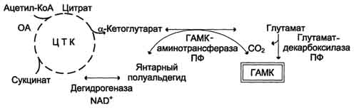 http://www.biochemistry.ru/biohimija_severina/img/b5873p514-i1.jpg