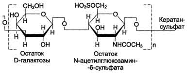 http://www.biochemistry.ru/biohimija_severina/img/b5873p706-i2.jpg
