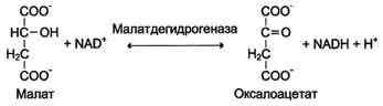 http://www.biochemistry.ru/biohimija_severina/img/b5873p80-i1.jpg