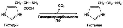 http://www.biochemistry.ru/biohimija_severina/img/b5873p516-i1.jpg