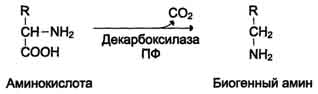 http://www.biochemistry.ru/biohimija_severina/img/b5873p512-i1.jpg