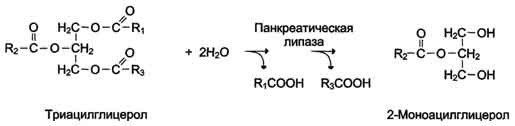 http://www.biochemistry.ru/biohimija_severina/img/b5873p78-i1.jpg