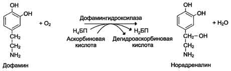 http://www.biochemistry.ru/biohimija_severina/img/b5873p80-i3.jpg