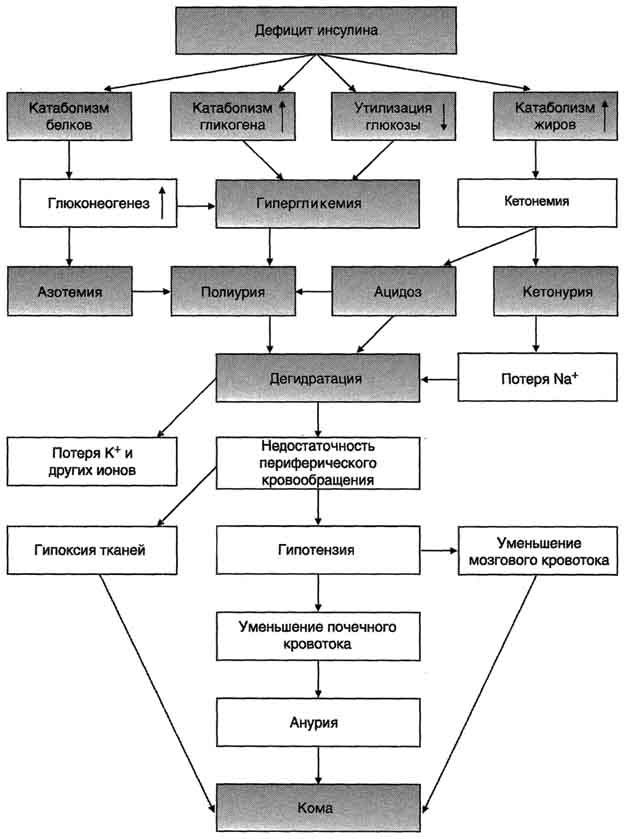 рис. 11-31. изменение метаболизма при сахарном диабете и причины диабетической комы.