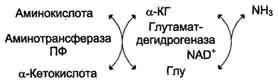 http://www.biochemistry.ru/biohimija_severina/img/b5873p474-i1.jpg