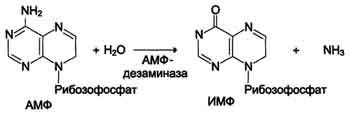 http://www.biochemistry.ru/biohimija_severina/img/b5873p476-i2.jpg