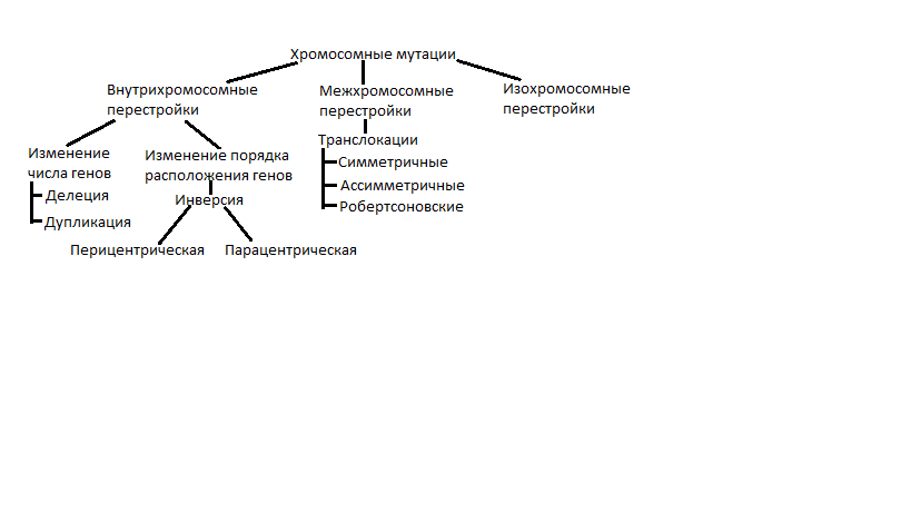 Примеры хромосомных мутаций. Хромосомные мутации внутрихромосомные.